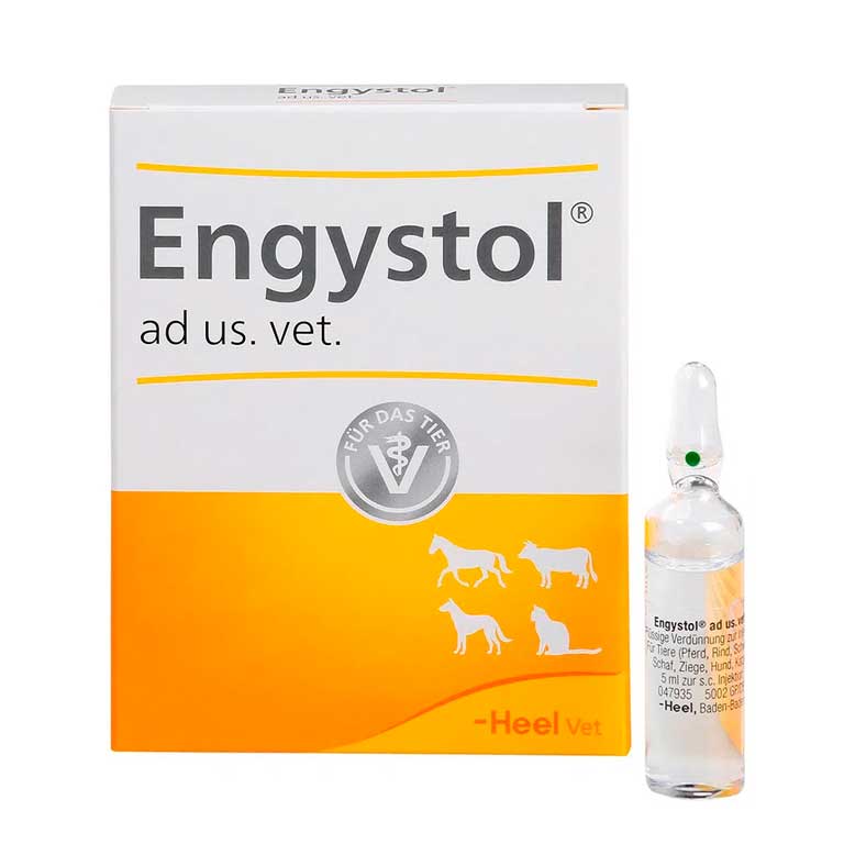 ENGYSTOL AD US VET CAJA X 5 AMPOLLAS (5 ML)